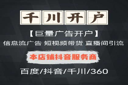谷歌竞价广告在电商行业的运用案例
